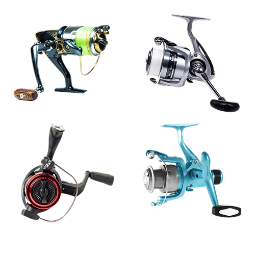 Reels Auctions 1
